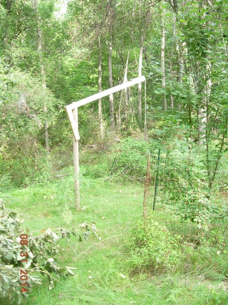 Preview image for a collapsed post.