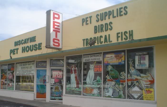 Unsecured Credit Line Financing for Pet Stores and Businesses