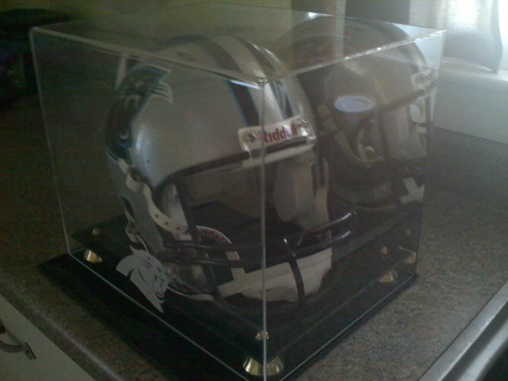 Helmetcase_zpsd2f5c47b.jpg