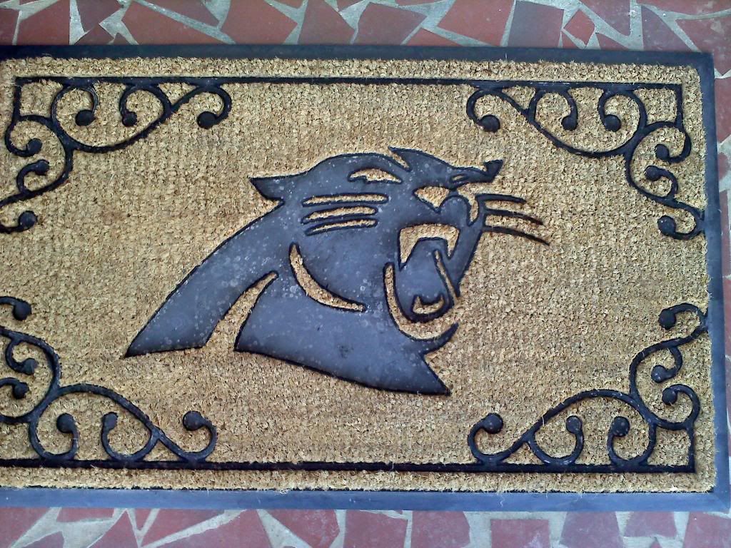 Panthersmat_zpscfd11fee.jpg