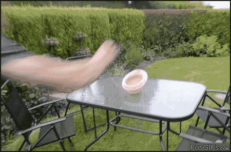 ani-pics-5-15.gif