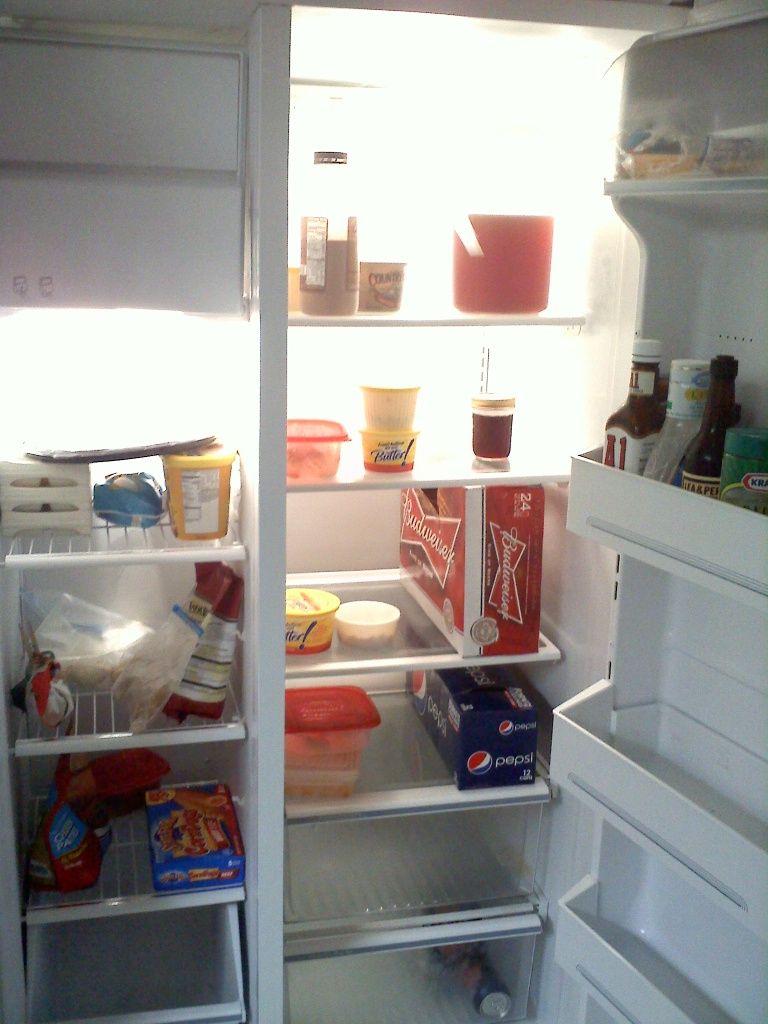 fridge_zps72dfd222.jpg