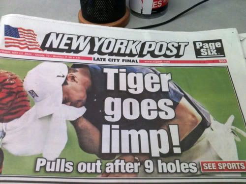 nyposttiger.jpg