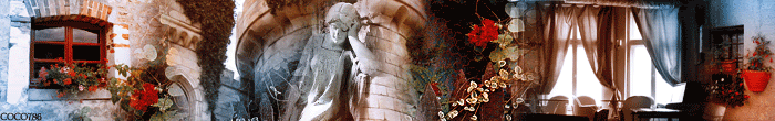 Credit goes to coco786@tda for this amazing banner!