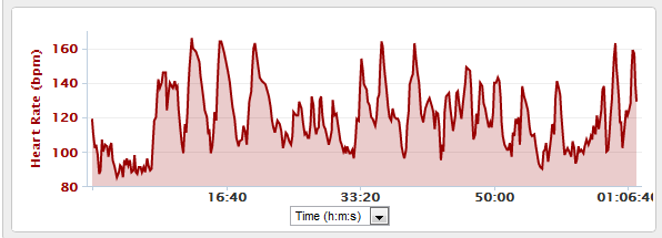 weights.png