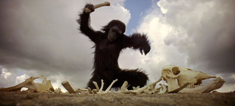 photo 2001-moonwatcher_zpsd55c8c7d.jpg