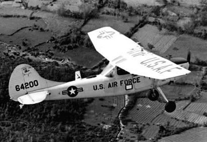 photo birddog.jpg