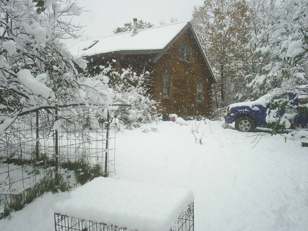 How is the color in your area? - Homesteading Questions