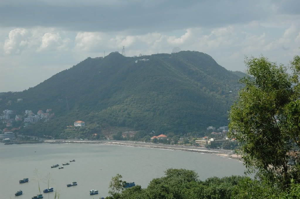 Cây lá gió biển và con ngừơi... - 3