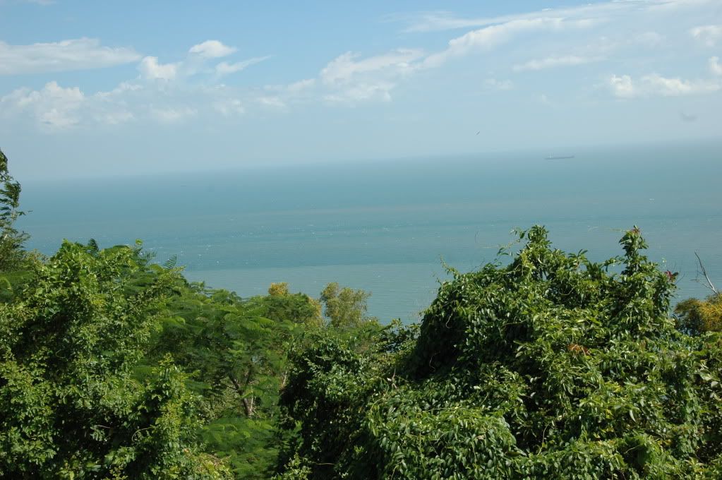 Cây lá gió biển và con ngừơi... - 8