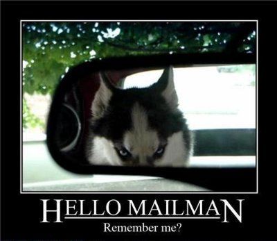 20-hello-mailman-remember-me-dog.jpg