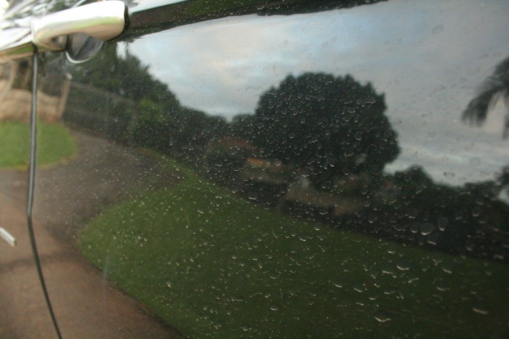 IMG_3677_zps94c201c2.jpg