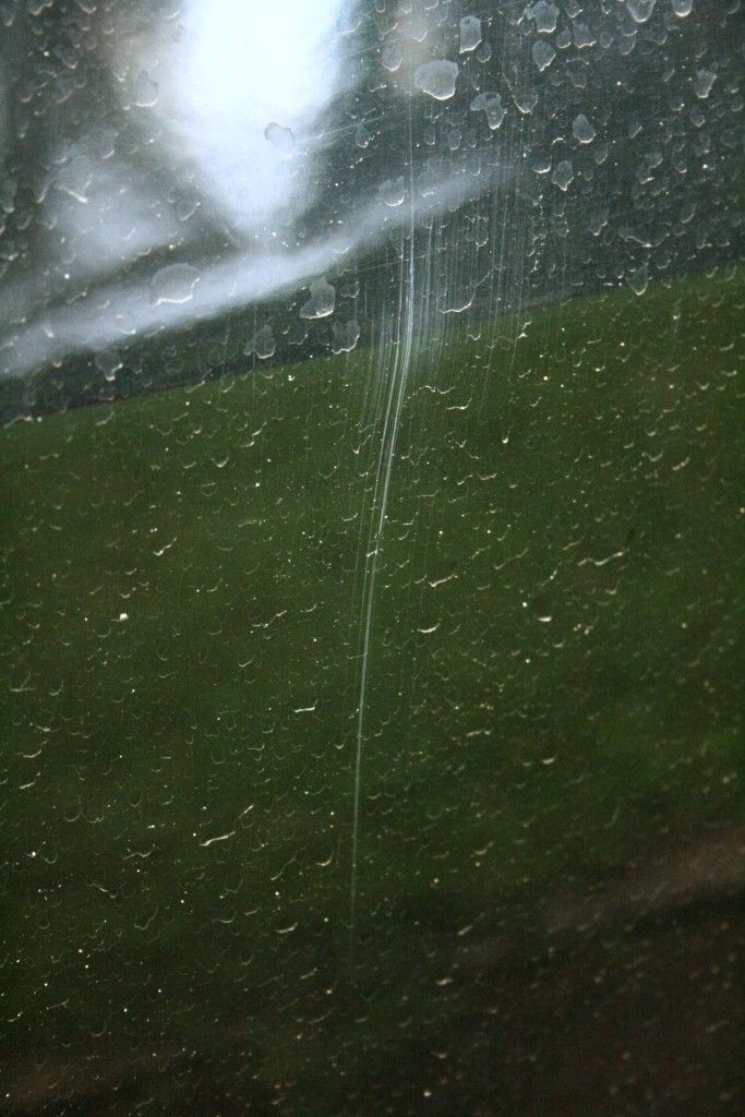 IMG_3708_zpsf9b90c8c.jpg