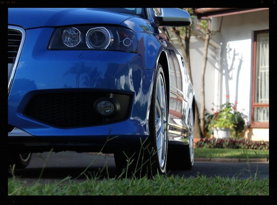 IMG_7116_zps2bf7d213.jpg