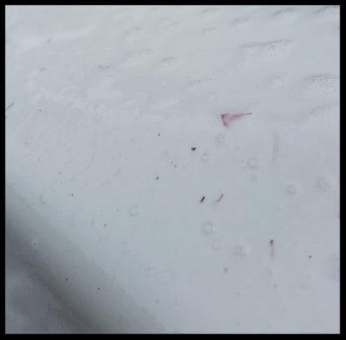 20151128_083640_zpsuyizuur7.jpg