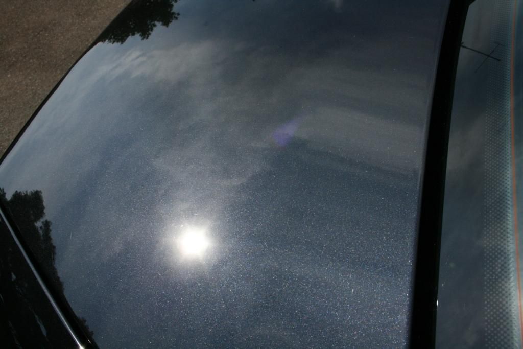 IMG_6135_zpsaf254e8c.jpg