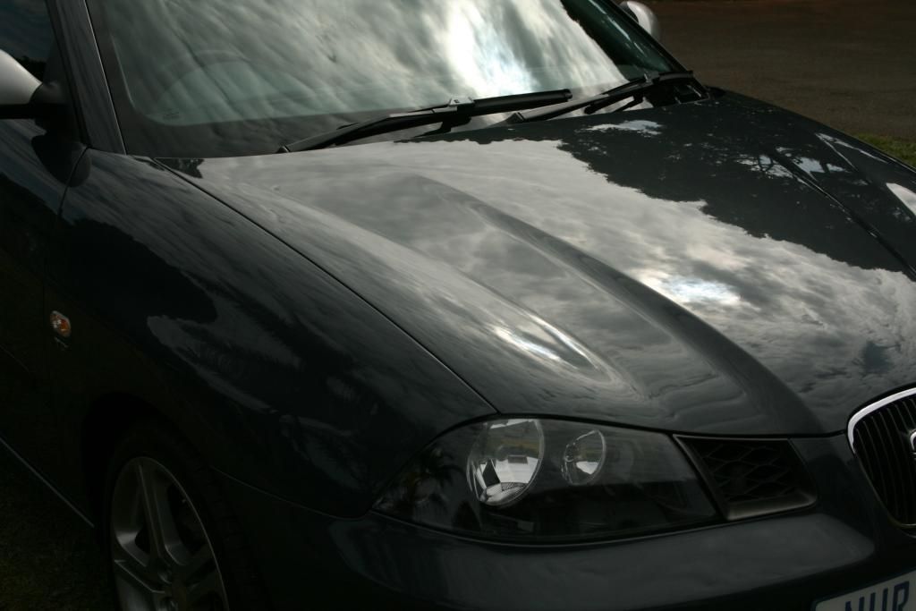 IMG_5617_zps92ec71a2.jpg