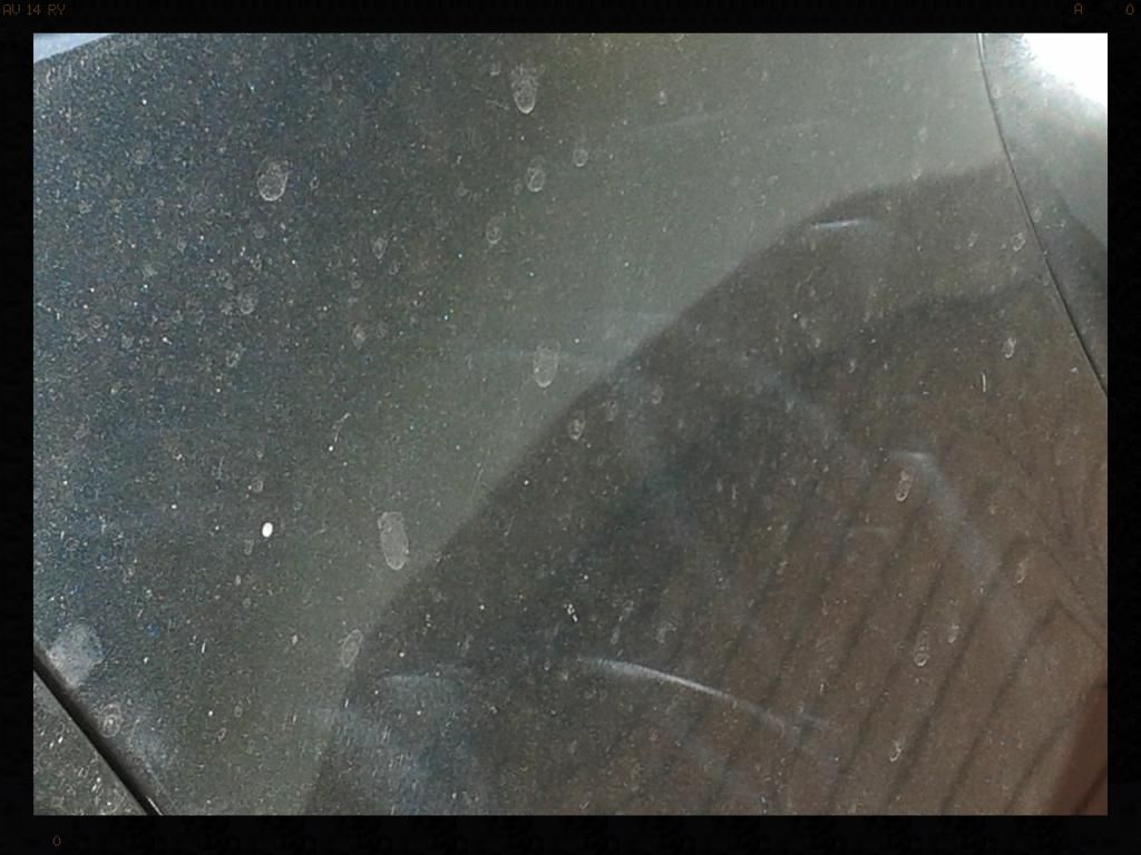 20140228_120301_zps3ed5492e.jpg