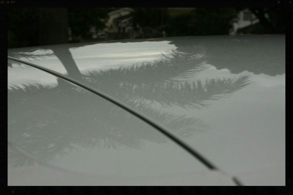 IMG_4115_zps3d3cc440.jpg