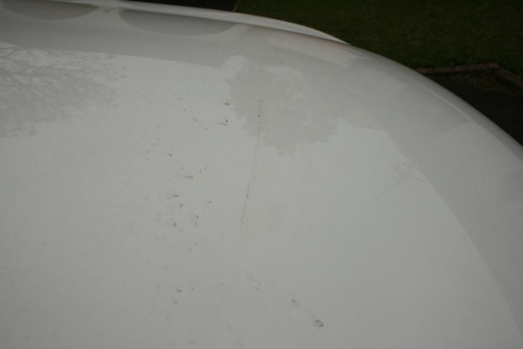 IMG_0641_zps6065d9c1.jpg