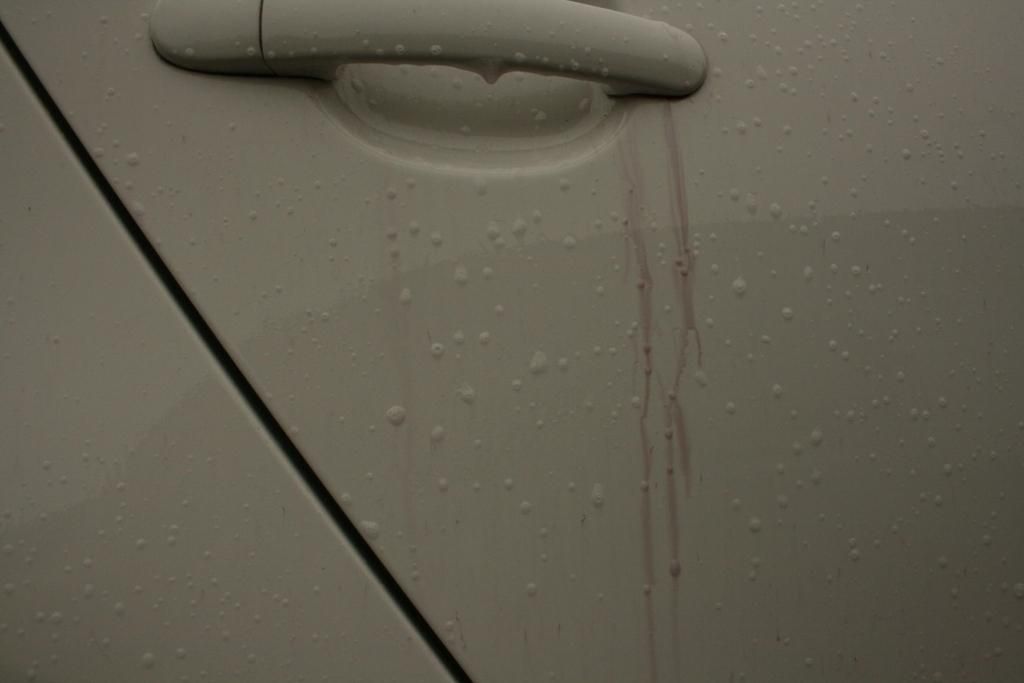 IMG_0739_zps864351f8.jpg