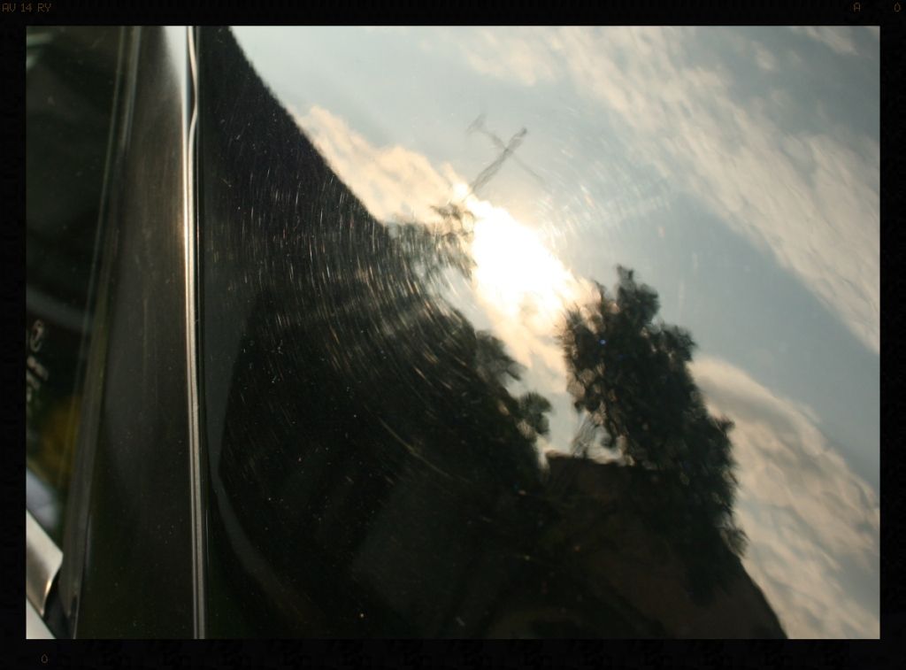 IMG_8449_zps842aa424.jpg