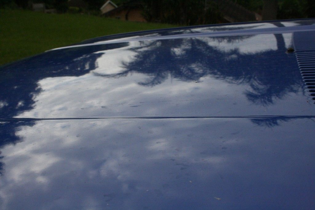 IMG_1766_zpsdfe19ef2.jpg