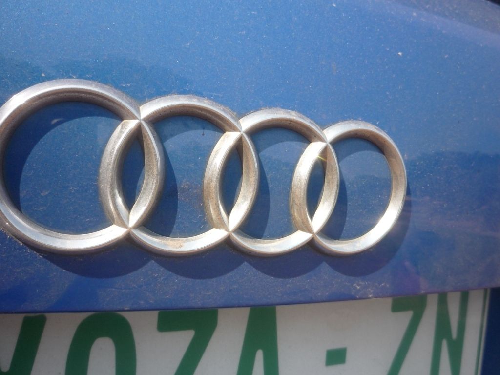 Backbadgebefore2.jpg