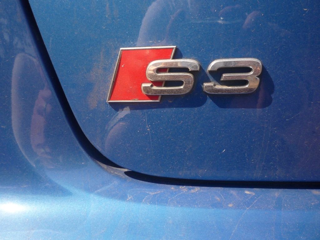 Backbadgebefore3.jpg