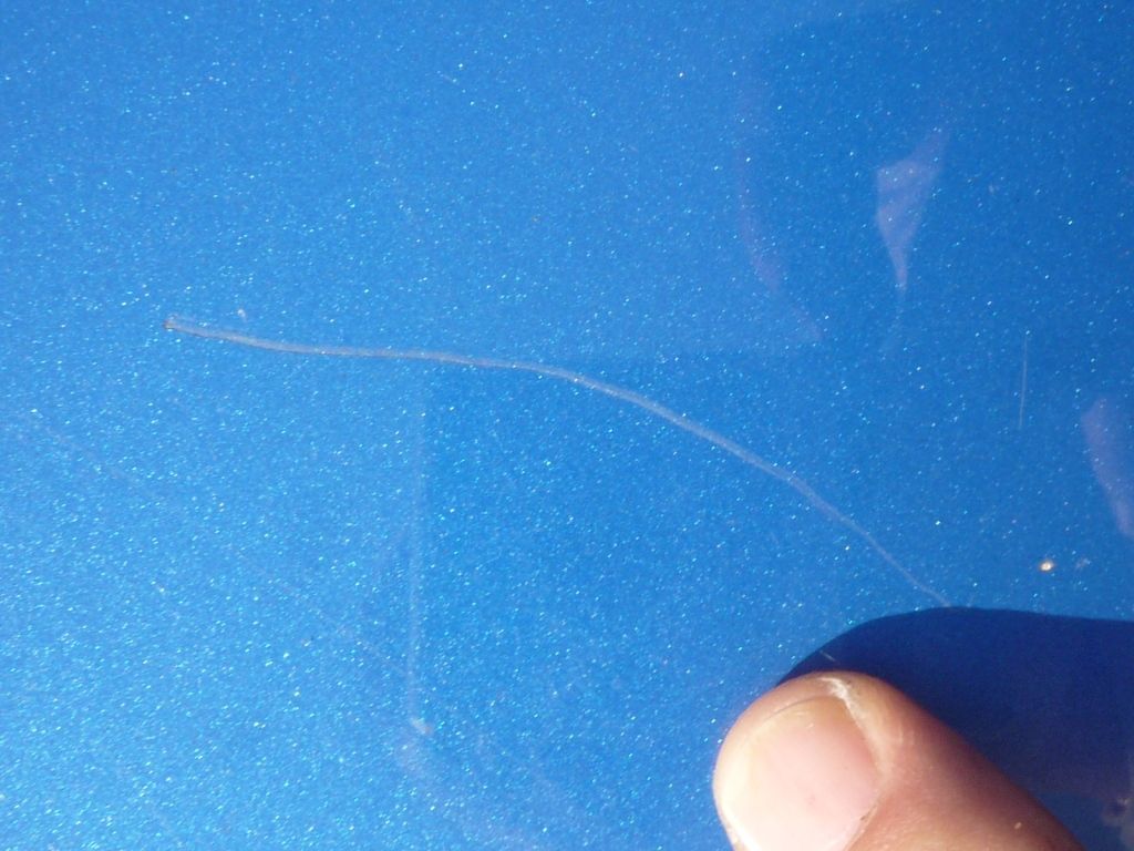 Scratch2.jpg