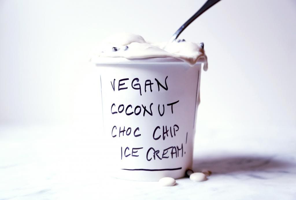 vanleeuwen-vegan-icecream-coconut-chocolate-haut-appetit1.jpg