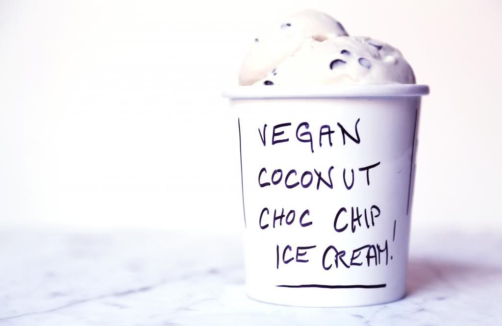 vegan-ice-cream-coconut-chocolate-chip1.jpg