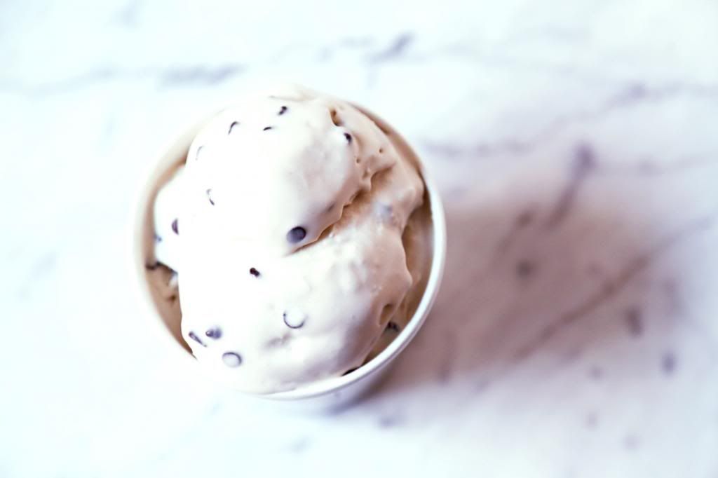 vegan-ice-cream-coconut-chocolate-chip2.jpg