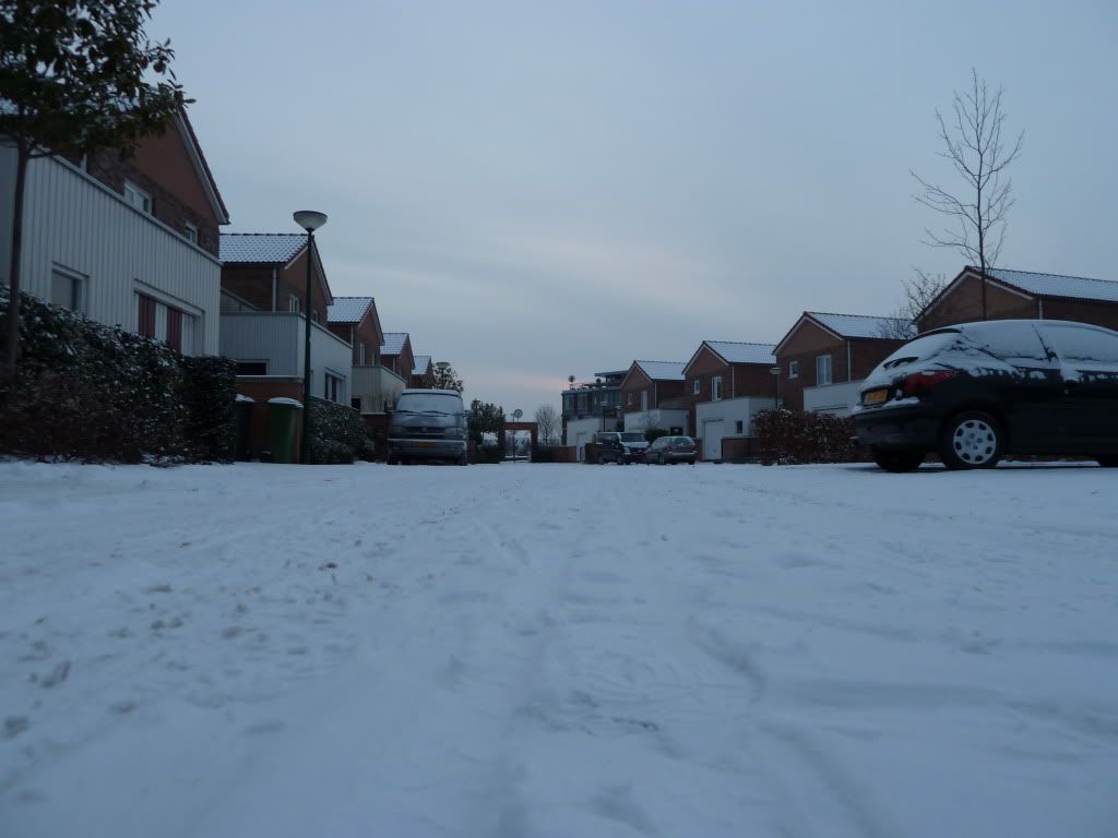 [Image: P1000003.jpg?t=1291400523]