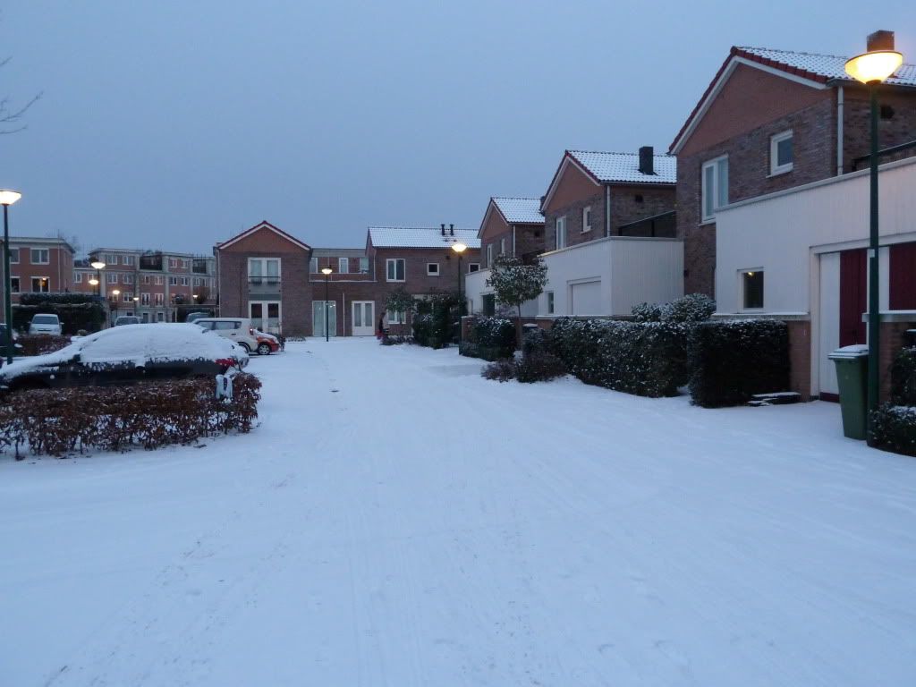 [Image: P1000025.jpg?t=1291400523]