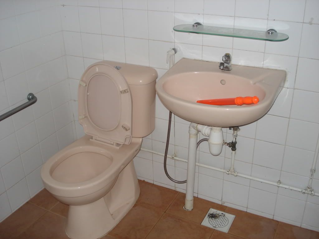 CmnToilet_1.jpg