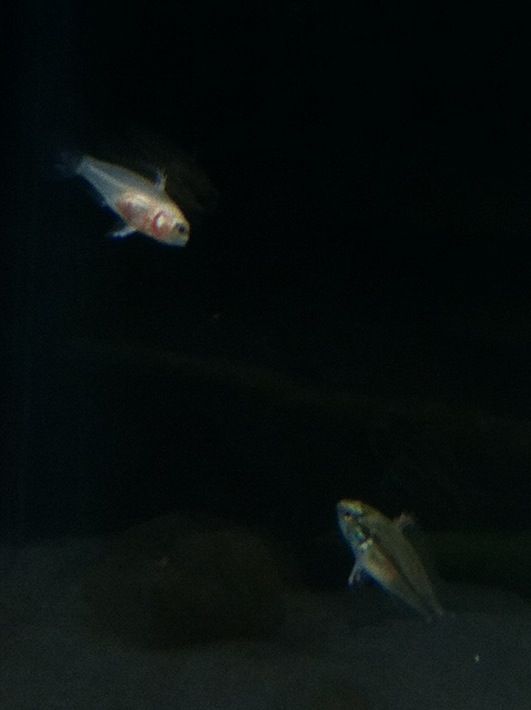 photo-57.jpg