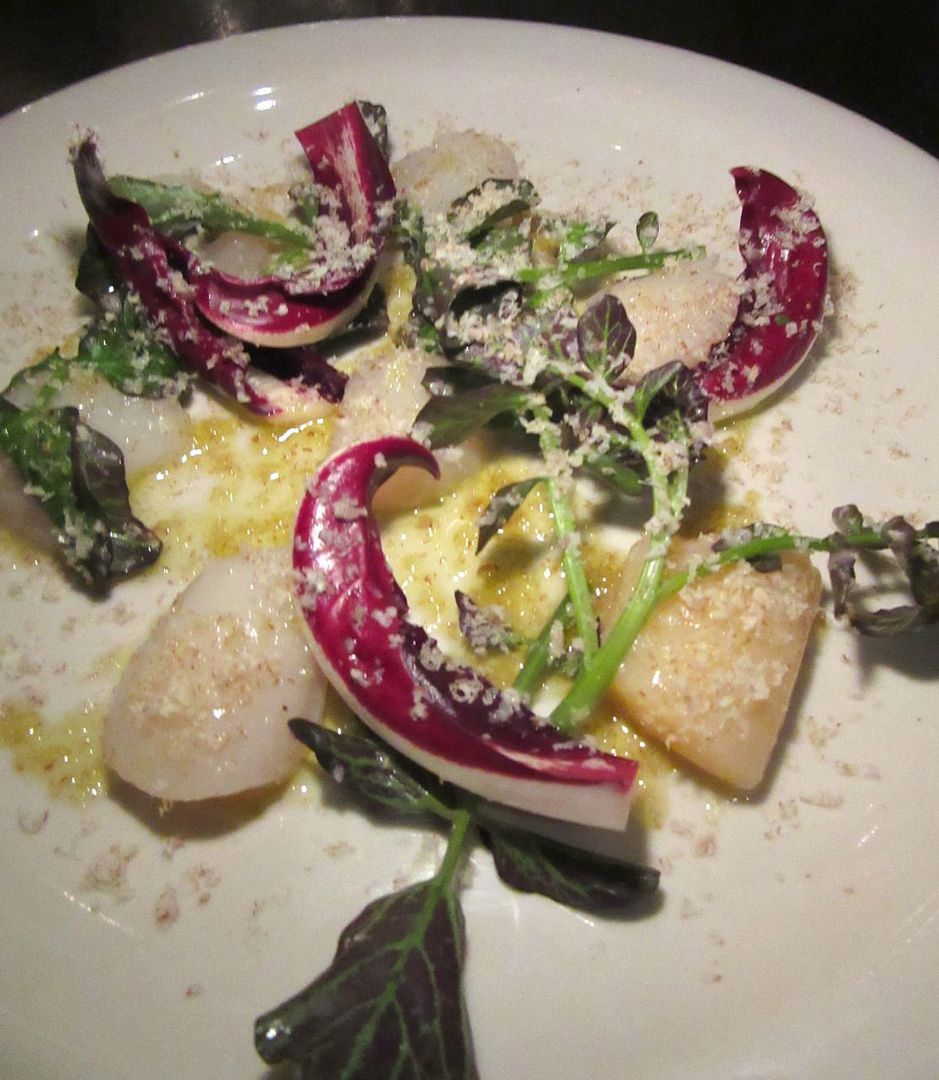 Marta’s ambitions include luscious raw bay scallops with radicchio de Treviso and chopped pecans.