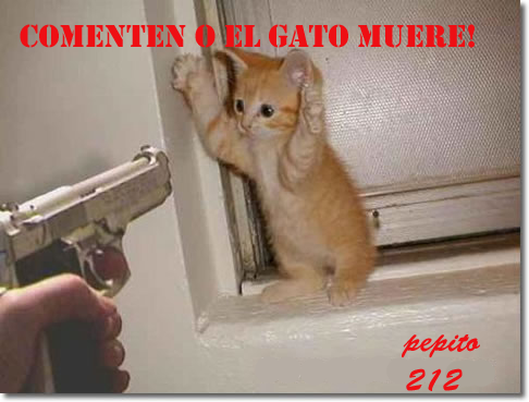  Gatos Acura on Download Este Es El Link De Mi Otro Post De Car Town Entren Y Comenten