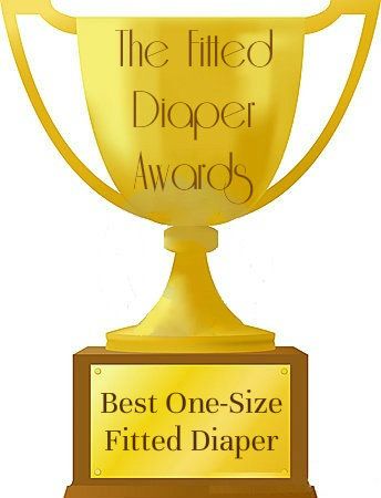 The Fitted Diaper Awards - The Best One-Size Fitted Diaper