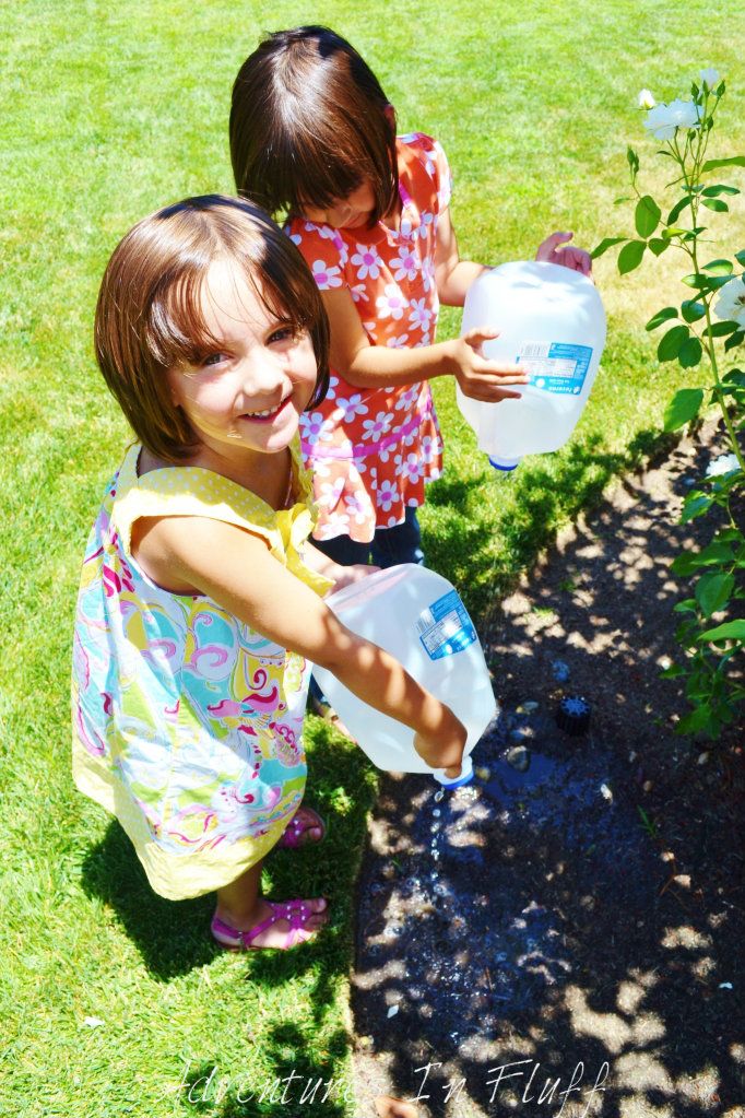 The girls watering plants with their milk jug watering can