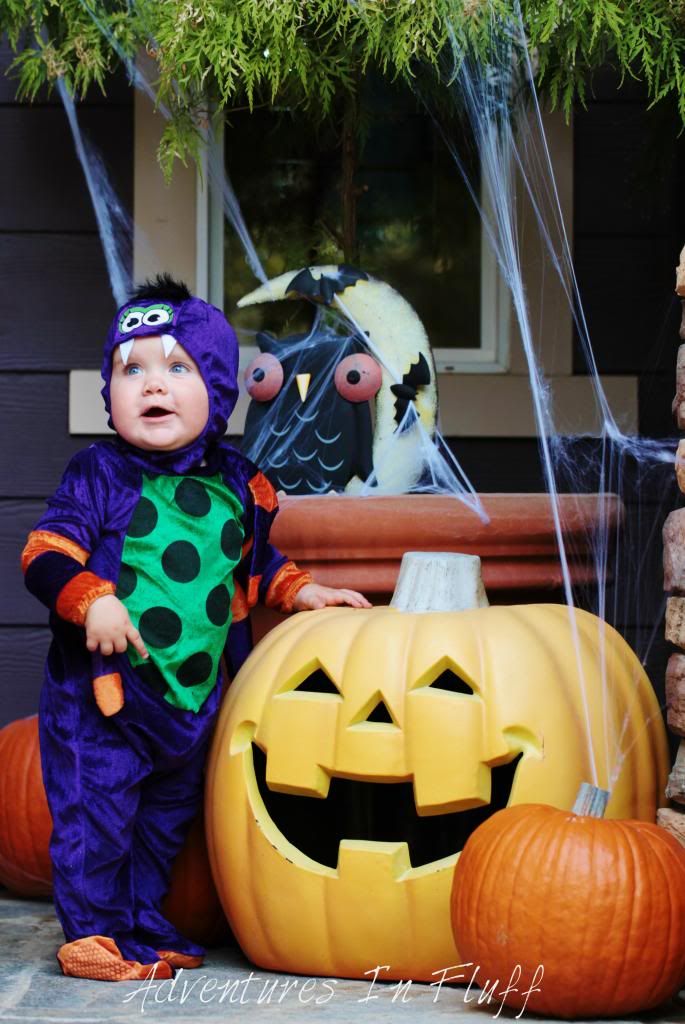 Baby spider Halloween Costume