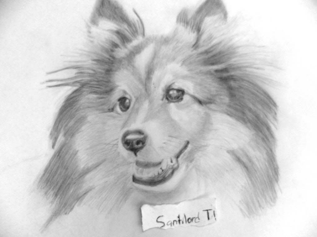 Alguno que otros de mis dibujos parte 19 Alguno que otros de mis dibujos parte 19