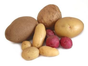 potatoes-group.jpg