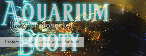 Aquarium Booty banner