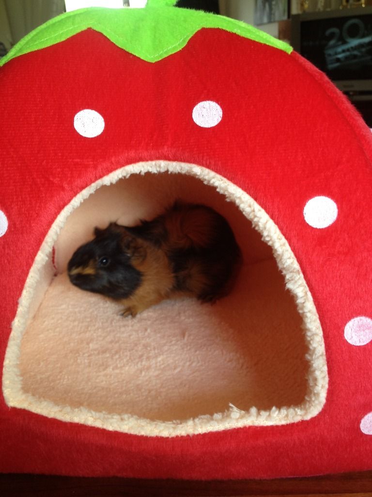 photo24.jpg