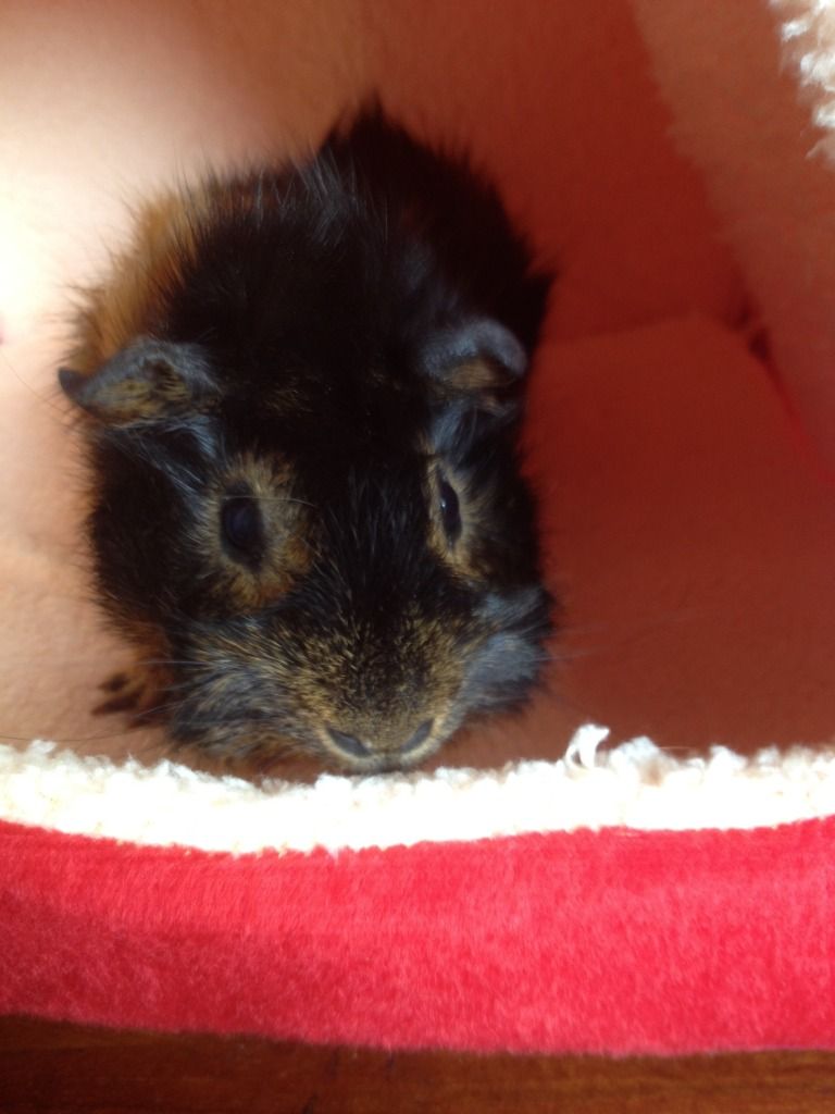 photo26.jpg