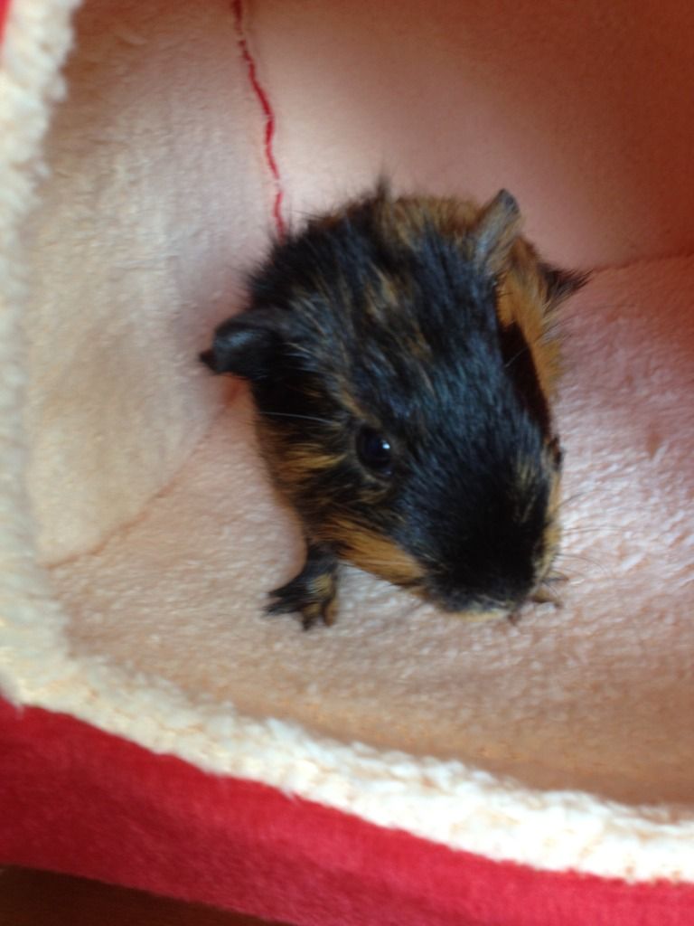 photo29.jpg