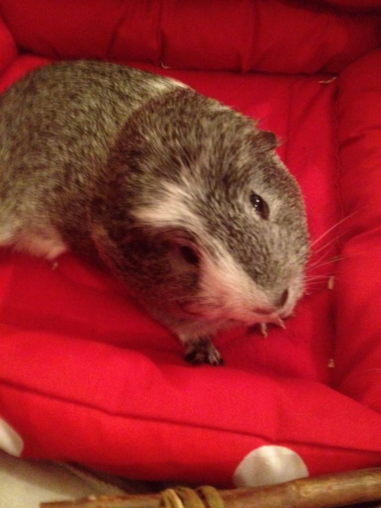 photo34.jpg
