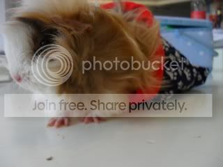 0fdd28f2.jpg